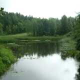 DSCF9378
