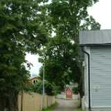 Dscf9358