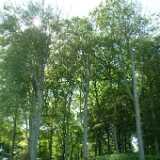 Dscf9073