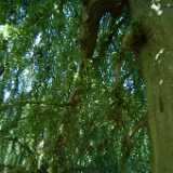 Dscf9105