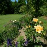 Dscf9107