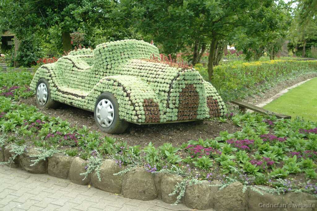 DSCF9143
