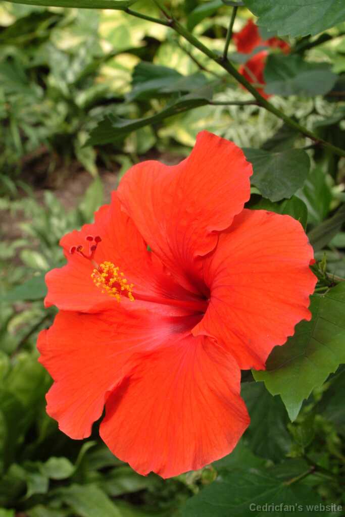 Dscf9171