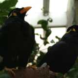 DSCF9169