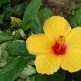 DSCF9177