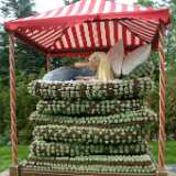 Dscf9150