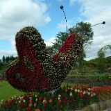 Dscf9154