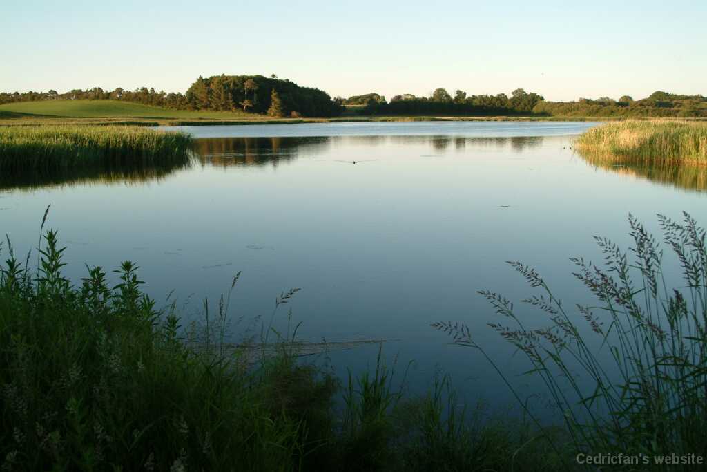DSCF9062