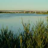 DSCF9066