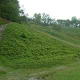 DSCF9192