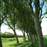 Dscf9120