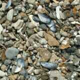 Dscf9130