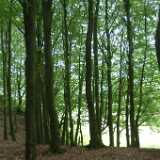 Dscf9183
