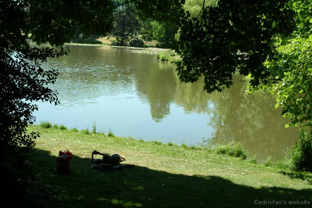 DSCF8917