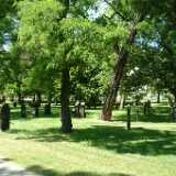 DSCF8928