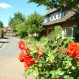 DSCF8894