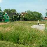 DSCF8945