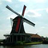 DSCF8952
