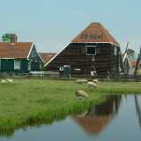 DSCF8969