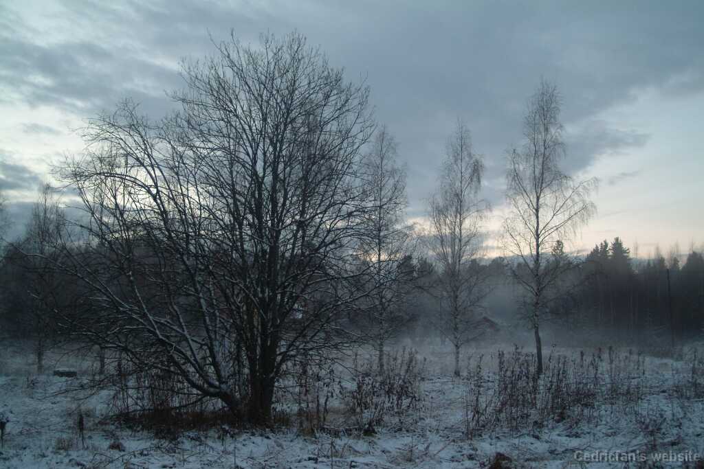 DSCF0773