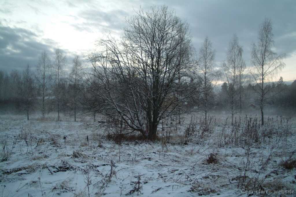 DSCF0774
