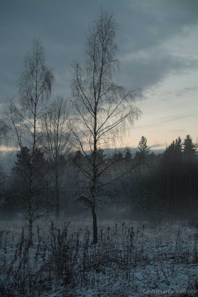 Dscf0772