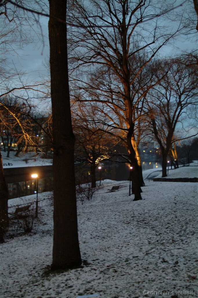 Dscf0784