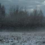 DSCF0771