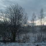 DSCF0773