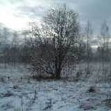 DSCF0774