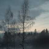 Dscf0772