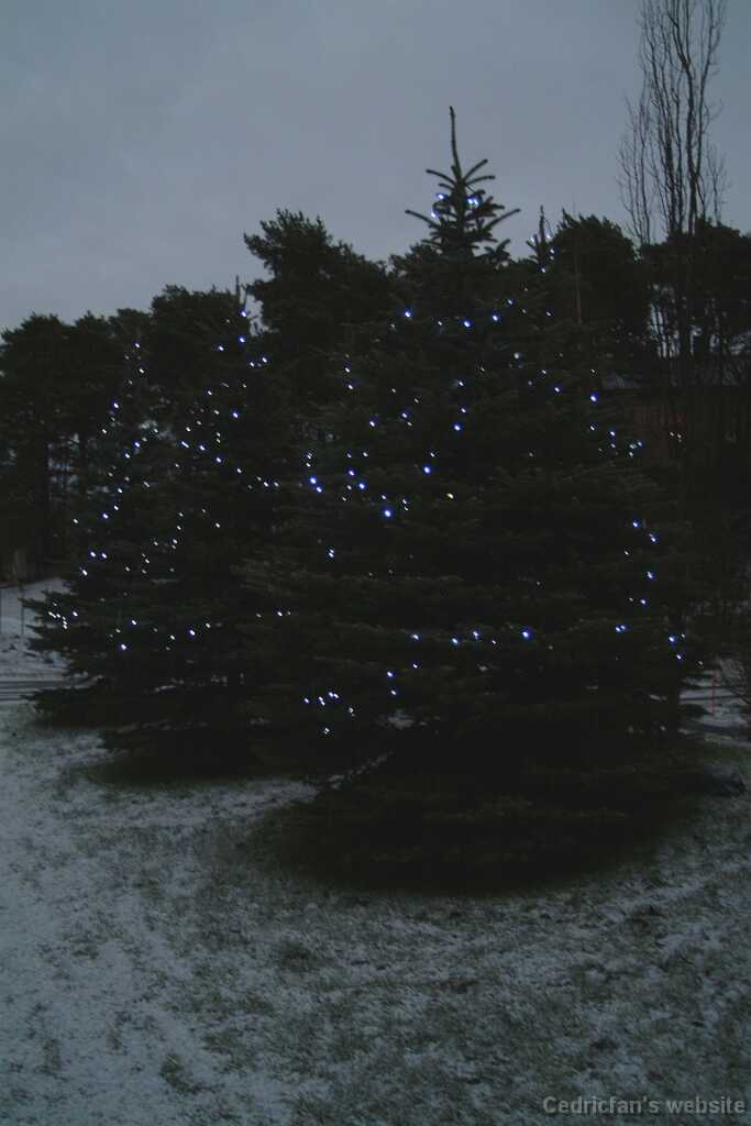 Dscf1218