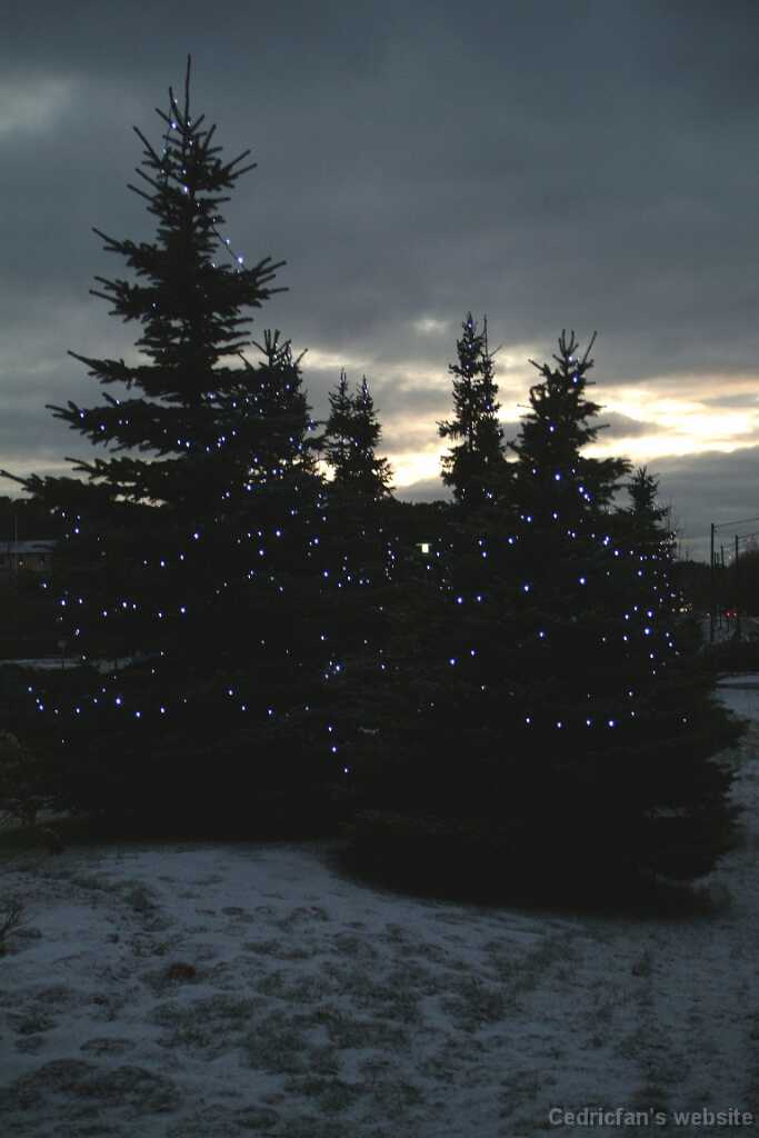 Dscf1219