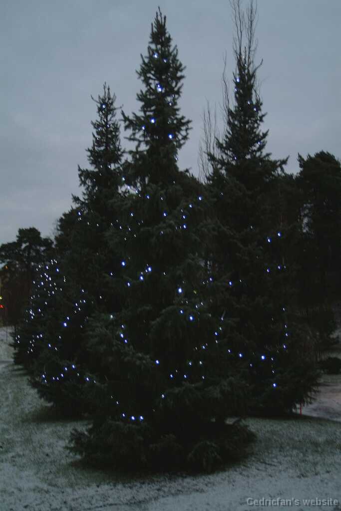 Dscf1228