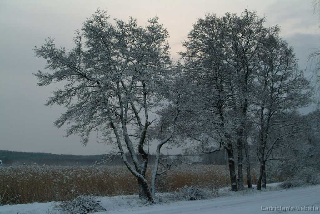 Dscf1230