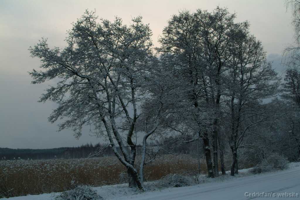 Dscf1245