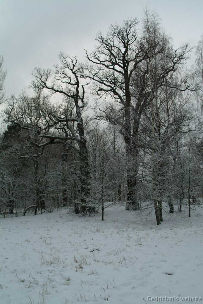 Dscf1248
