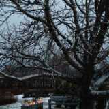 Dscf1209