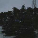 Dscf1218