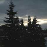 Dscf1219