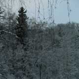 Dscf1232