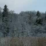 Dscf1233