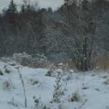 Dscf1237