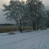 Dscf1244