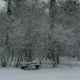 Dscf1247