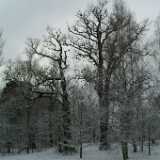 Dscf1248