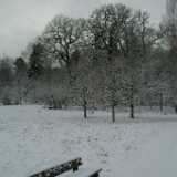 Dscf1253