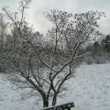 Dscf1254
