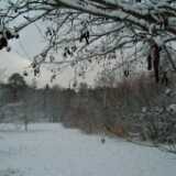 Dscf1255