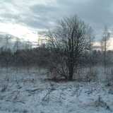 Evening waiting for Xmas
